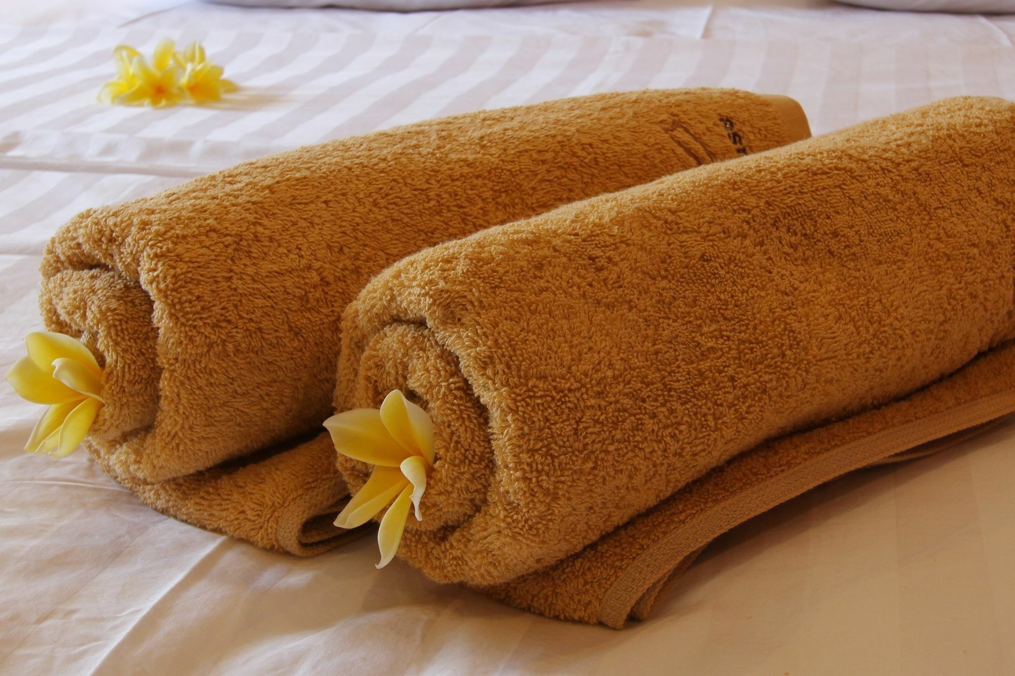 Saren Guest House Canggu Exterior foto